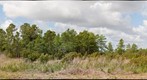 Culpepper Ranch (Location 2)