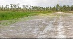 Culpepper Ranch (Location 3)