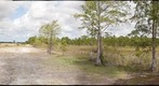 Culpepper Ranch (Location 4)