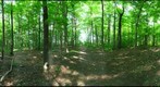 Dairy Bush GigaPan - 92 - June 01 2011