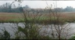 Humedal Angachilla Valdivia 2, 