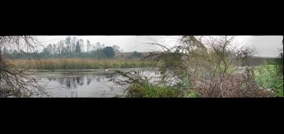 78712-400x189