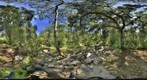 CR1 2011 06 02