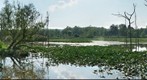 Beaver Marsh @ Cuyahoga Valley National Park