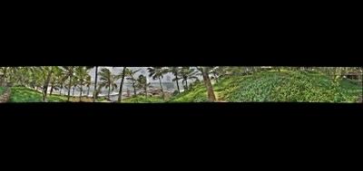 78943-400x189