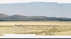 Very Large Array New Mexico USA