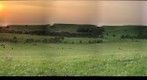 A bulcolic sunset on the tallgrass prairie