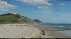 Golden Cap from Charmouth