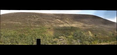 79268-400x189