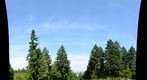 Portland Pre-Rose Rose Garden