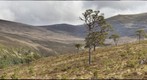 cairntrial5