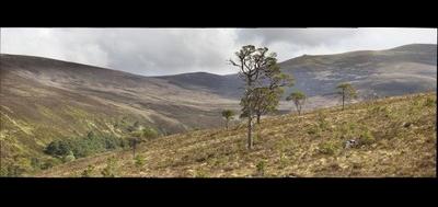 79340-400x189
