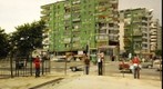 PIPIFAX FOR TIRANA #2
