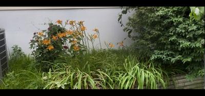 79486-400x189