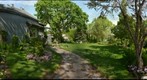 Con Boland's gardens