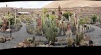 Jardin de Cactus - Lanzarote