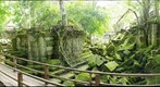 Beng Mealea ruins, Cambodia