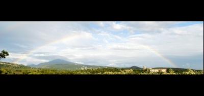 79685-400x189