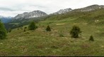 Near Obermutten