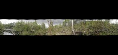 79789-400x189