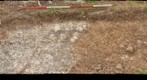 Cutting_41_HDR