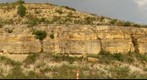 Lower Fort Hays Limestone, Ellis County, Kansas