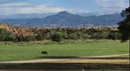 Cerro Pedernal