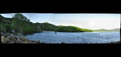 7990-400x189