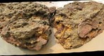 Tropical Asia - Seashore rock