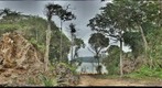 Tropical Asia - Seashore Vegetation along East Coast Peninsular Malaysia