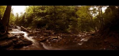 79953-400x189