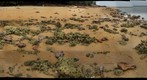 Coral rocks