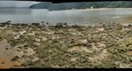 Tropical Asia - Coral rocks