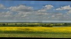 Trent Valley from Scampton
