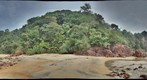 Tropical Asia - Coastal Vegetation