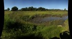 Laguna de Santa Rosa vernal pool