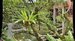 Tropical Asia - Courtyard Plants, Malaysia