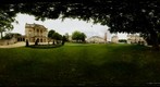 Under a Tree