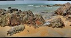 Tropical Asia - Seashore Rock 2, Malaysia
