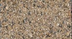Tropical Asia - Beach Shingle, Singapore