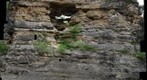 Pinnacles 1