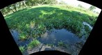 Laguna de Santa Rosa