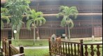 Tropical Asia - Spot the Long tailed macaques?