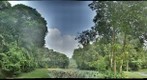 Tropical Asia - Forest and Ponds