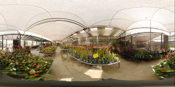 80240-720x360