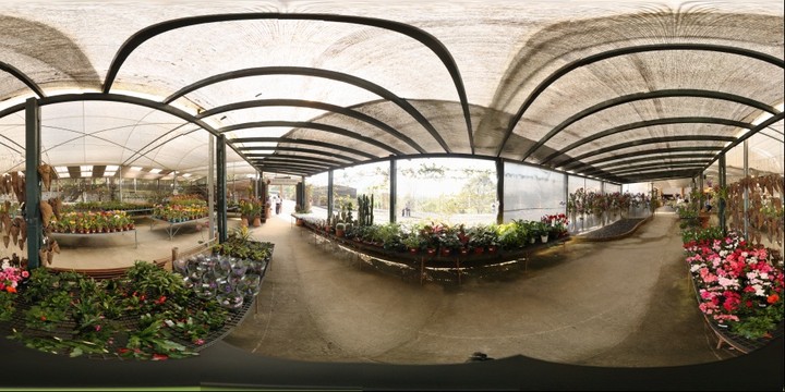 80246-720x360