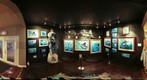 Occhio Gallery Guy Harvey section