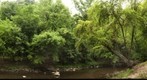The Creek's Edge: Rock Creek National Park-Washington, DC