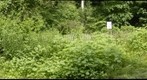 Carpenter Woods Meadow
