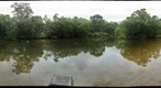 Marshland swamp